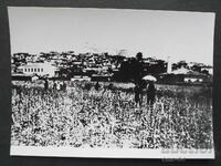 Istoric Hristo Smirnenski