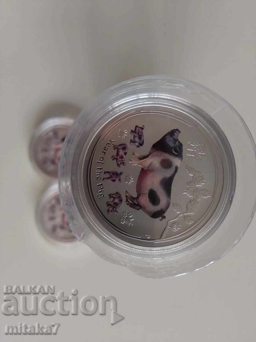 Silver Lunar "Year of the Pig", 2019 - 7