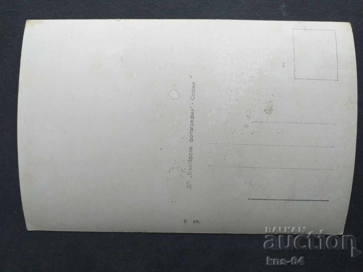 Sasha Krusharska cu preț 0.70 BGN | € 0.36