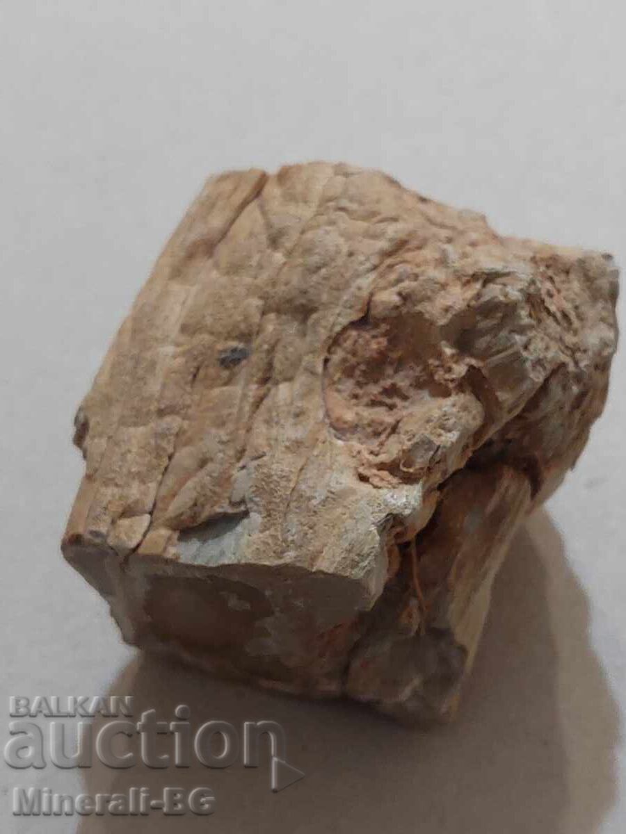 Lemn pietrificat Lemn pietrificat