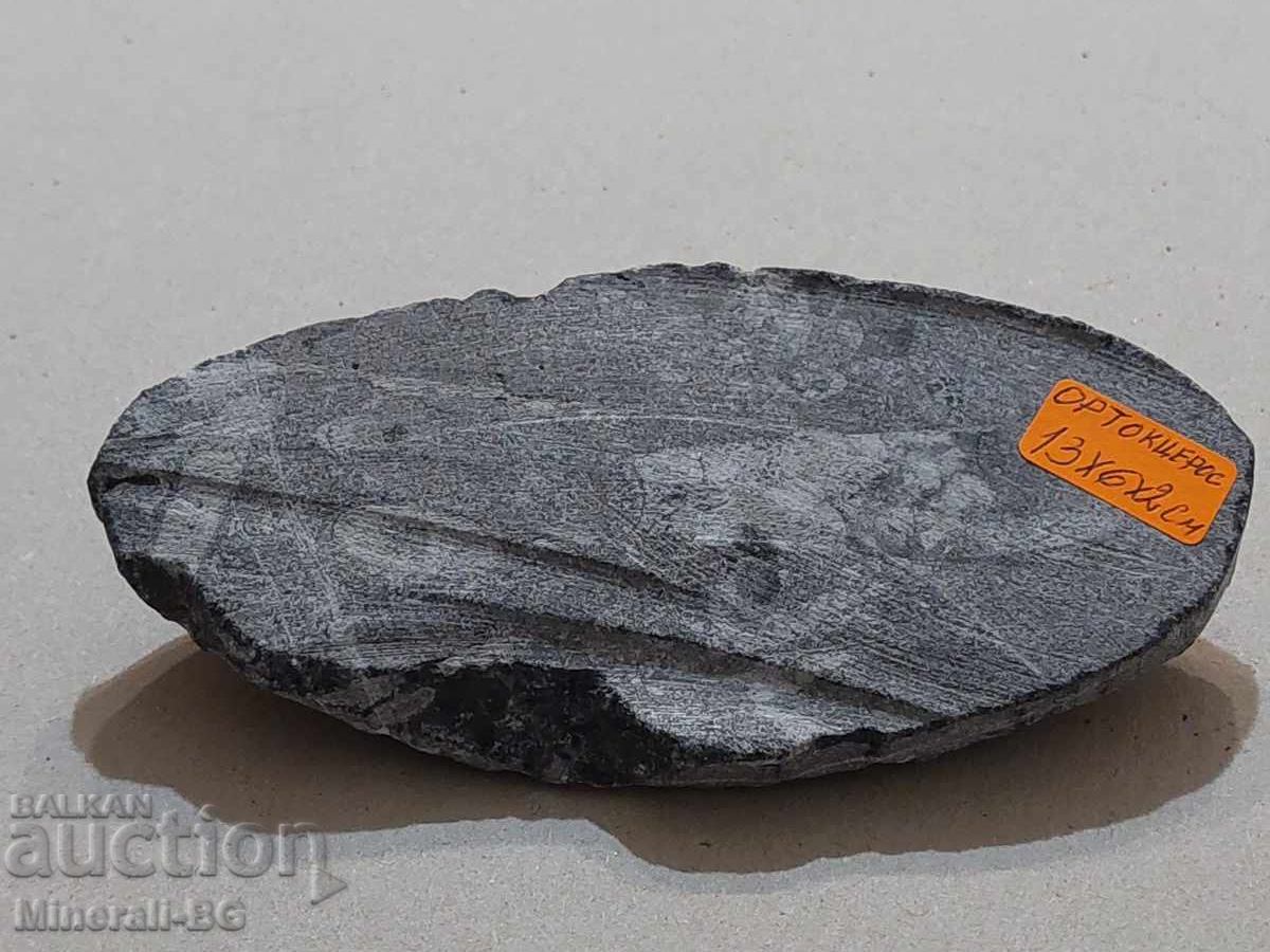 Orthoxeros with price 25.00 BGN | € 12.78