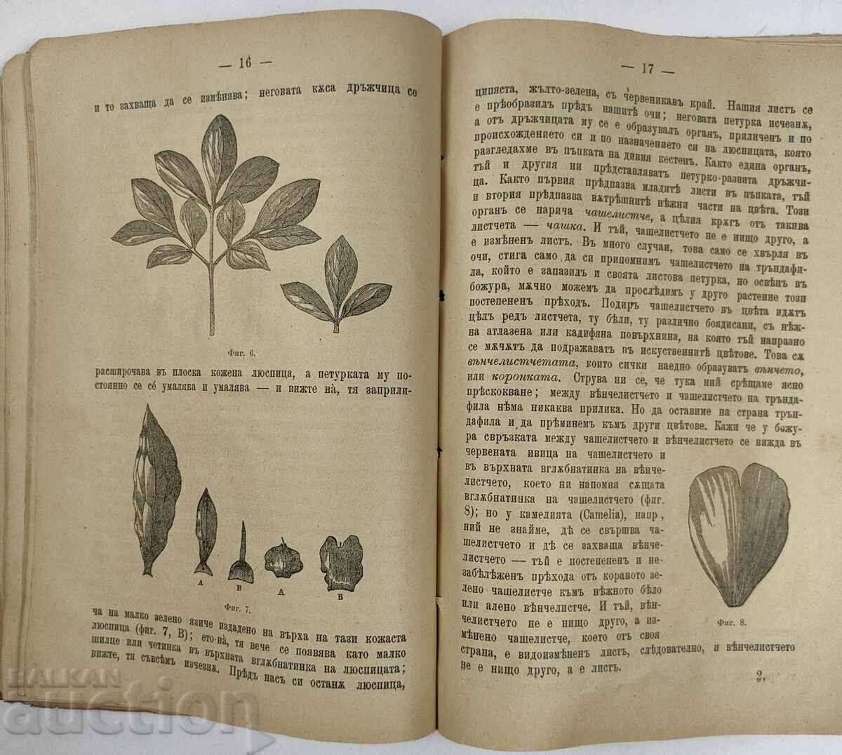 Auction 1894 LIFE OF THE PLANT Auction 1894 LIFE OF THE PLANT