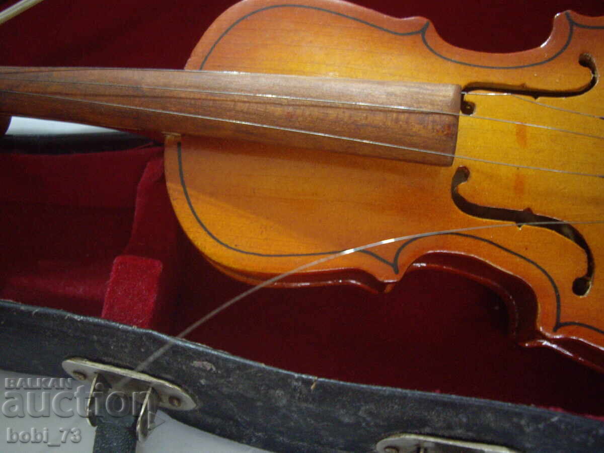 Livrarea Vioară mică