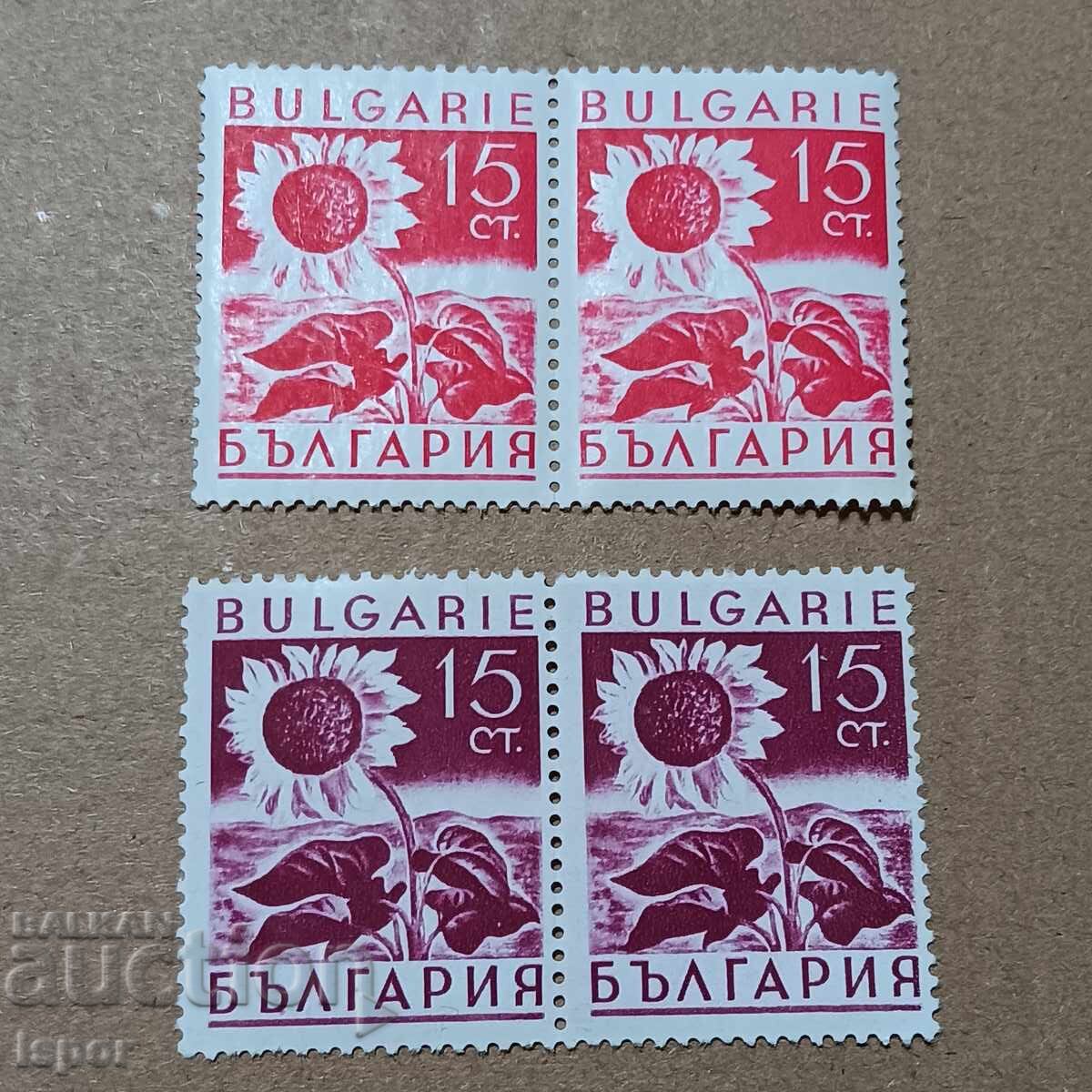 България България