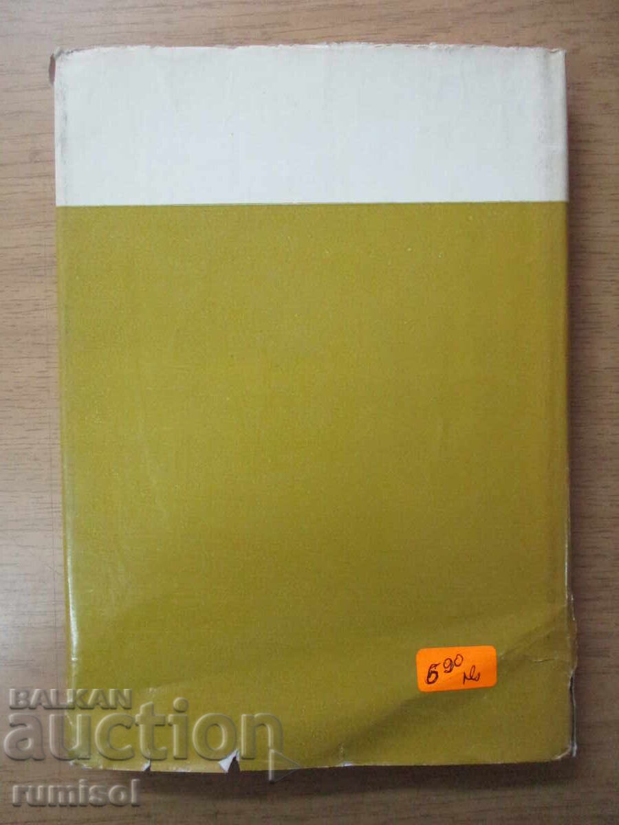 Tiziano - Dario Cecchi - 5