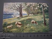 Carte poștală veche - Peisaj cu oi