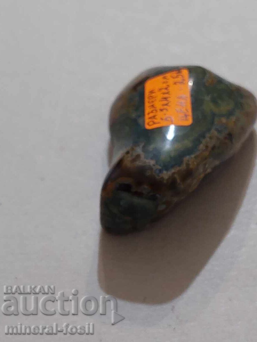 Livrarea Orpheus Agate.