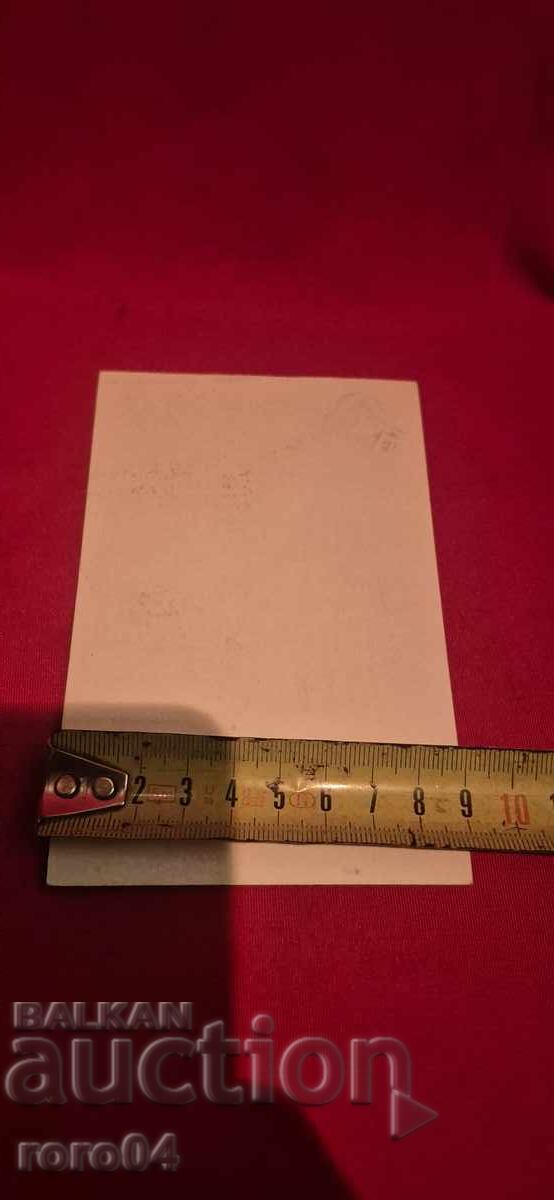 ANNE MARIE GODDARD - 5