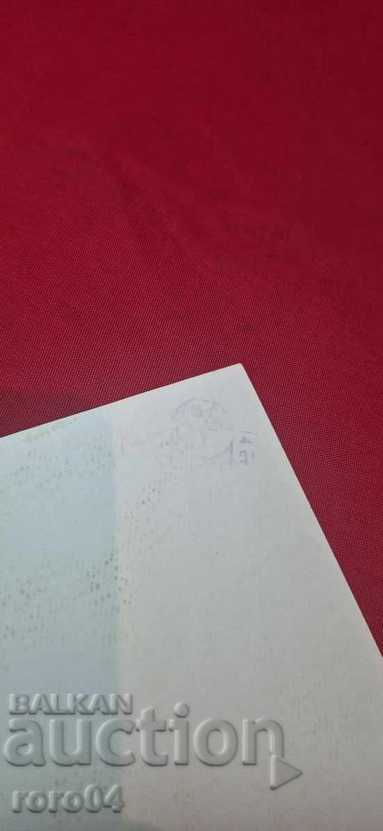 ANNE MARIE GODDARD - 6