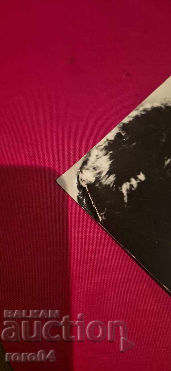 G. GANEVA - 5 G. GANEVA - 5