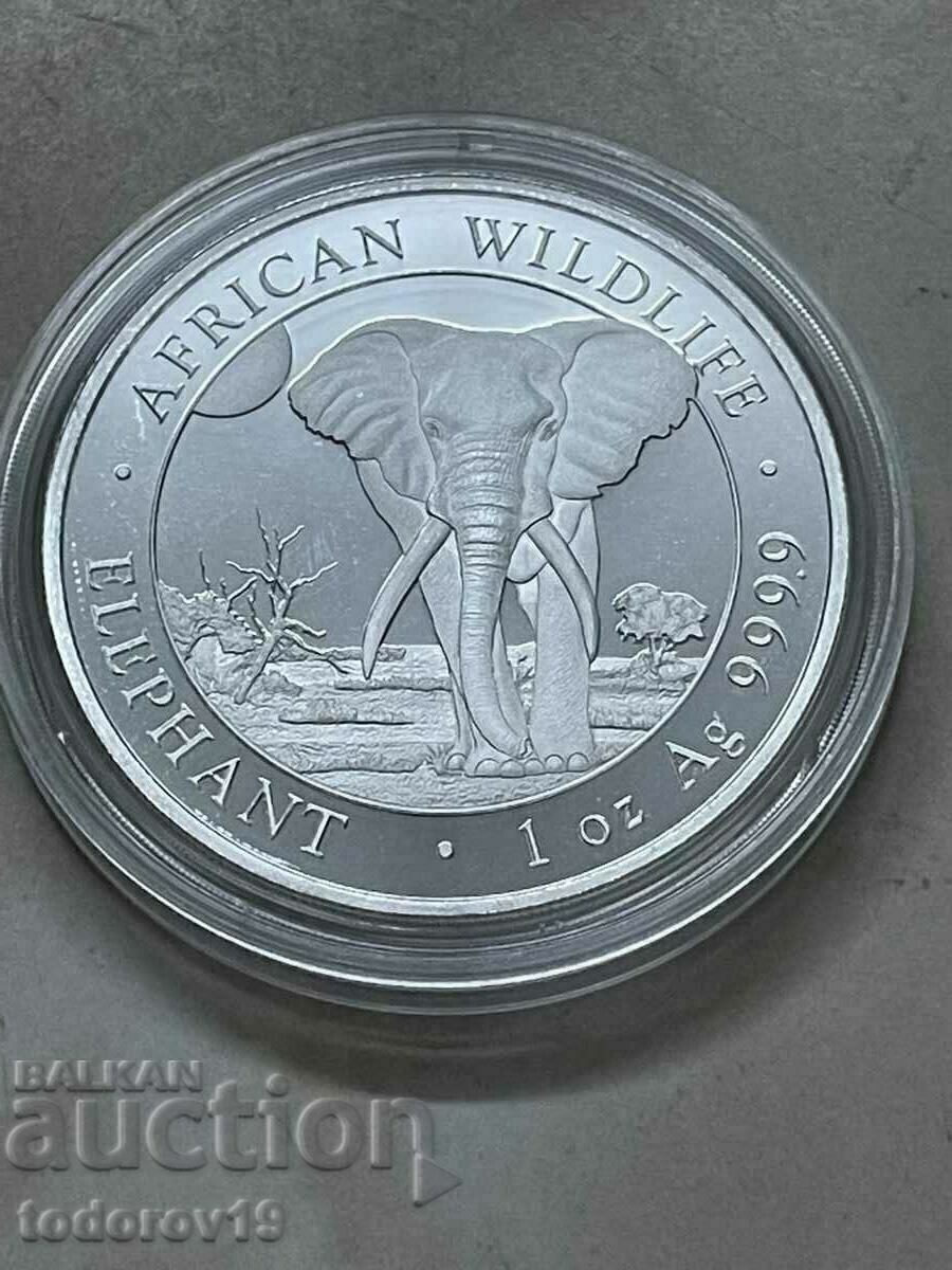 Auction NEW! Silver 1 oz Somali Elephant 2025 Auction NEW! Silver 1 oz Somali Elephant 2025