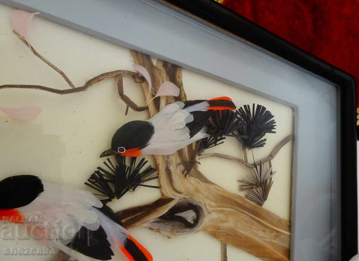 Δημοπρασία Παλιά διοράμα με φτερά πουλιών με φωλιά, σε κορνίζα