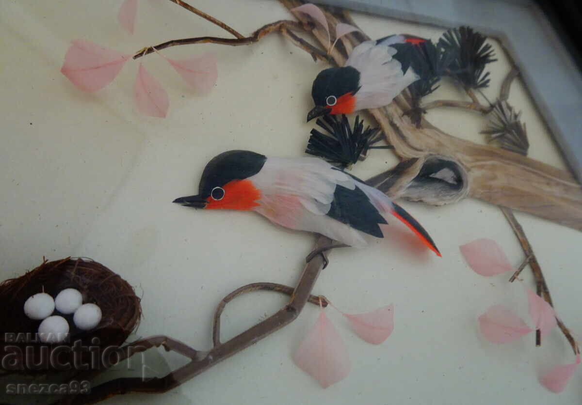 Παράδοση Παλιά διοράμα με φτερά πουλιών με φωλιά, σε κορνίζα