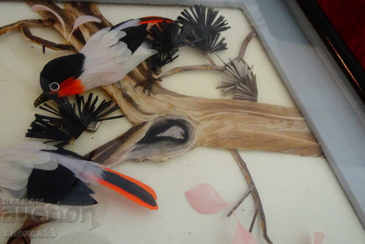 Παλιά διοράμα με φτερά πουλιών με φωλιά, σε κορνίζα - 5