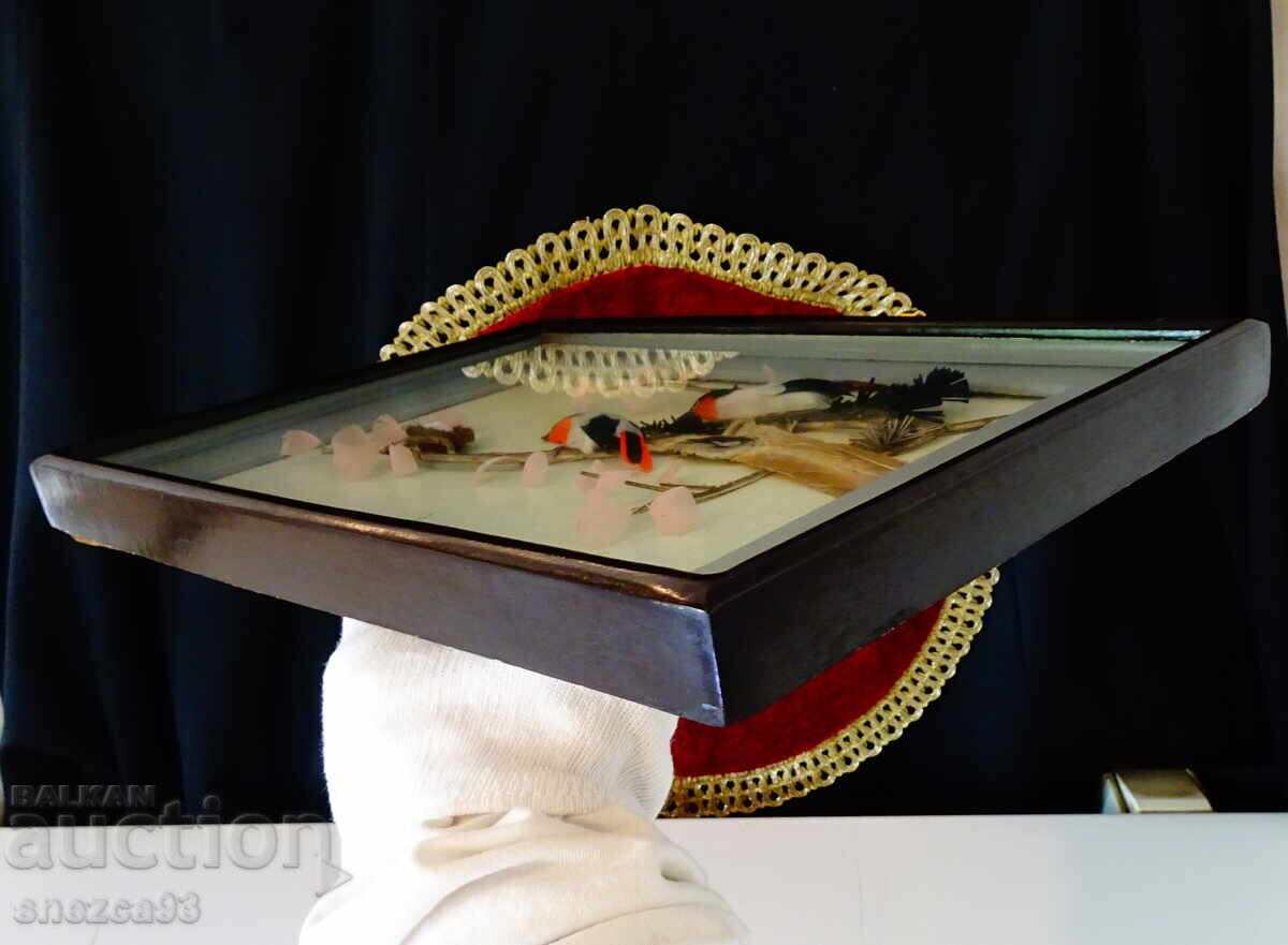 Παλιά διοράμα με φτερά πουλιών με φωλιά, σε κορνίζα - 6