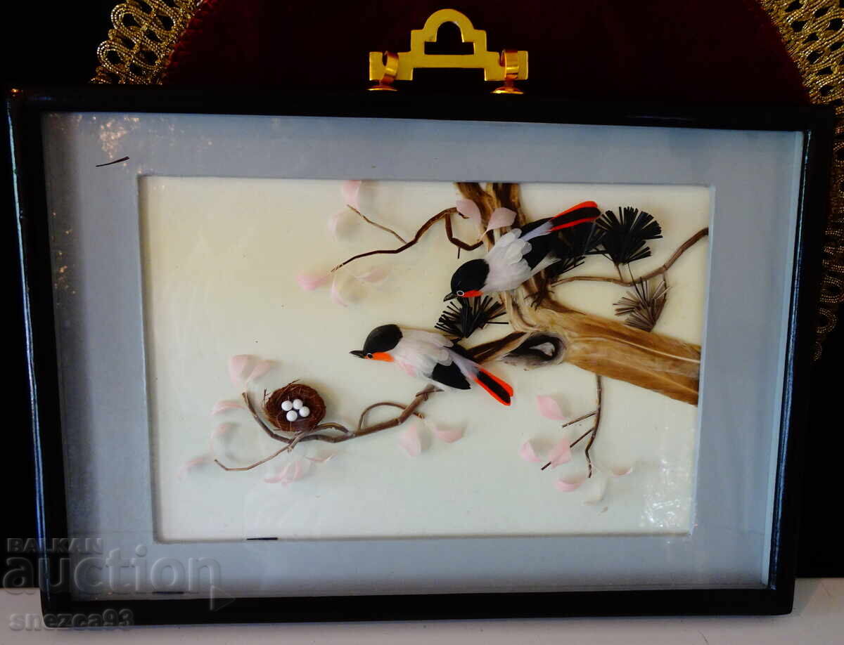 Παλιά διοράμα με φτερά πουλιών με φωλιά, σε κορνίζα