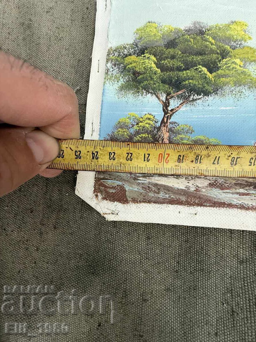 Pictura acuarela - 5