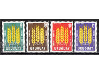 1963. Uruguay. Libertate de foame