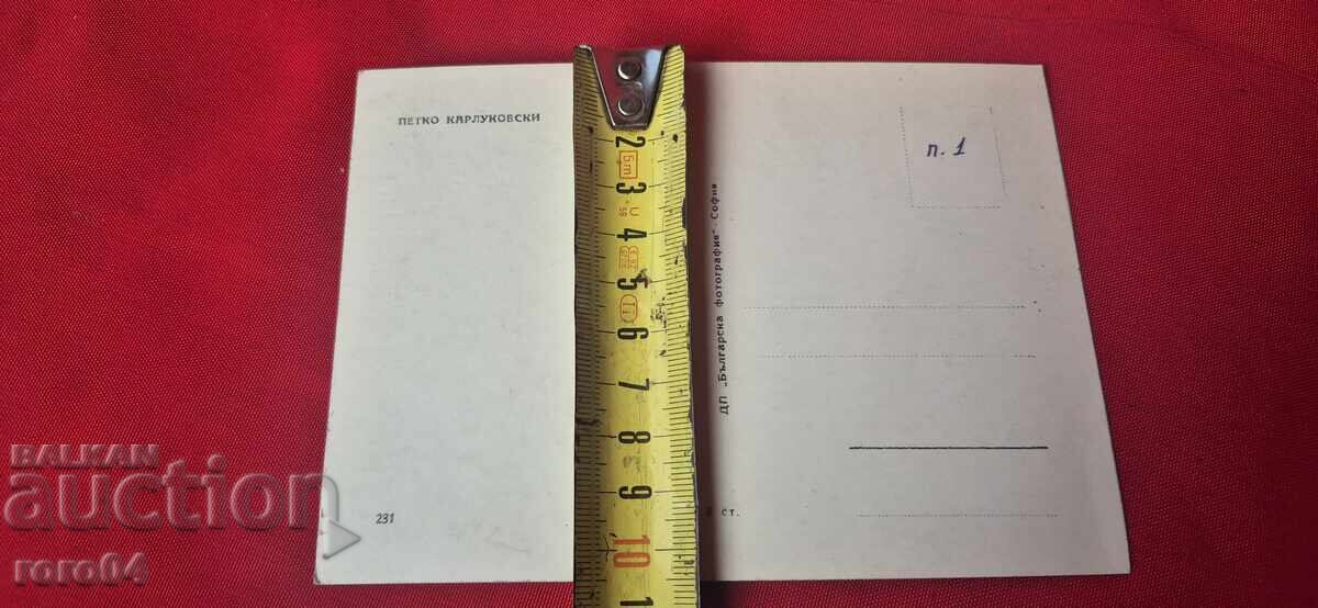 PETKO KARLUKOVSKI - 5 PETKO KARLUKOVSKI - 5