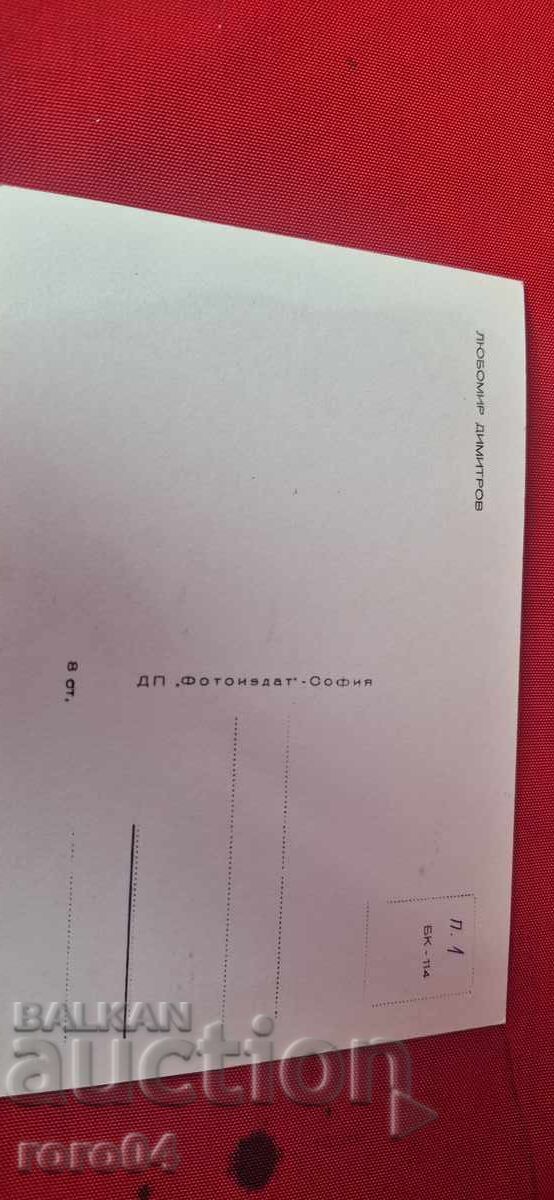 LYUBOMIR DIMITROV - 6