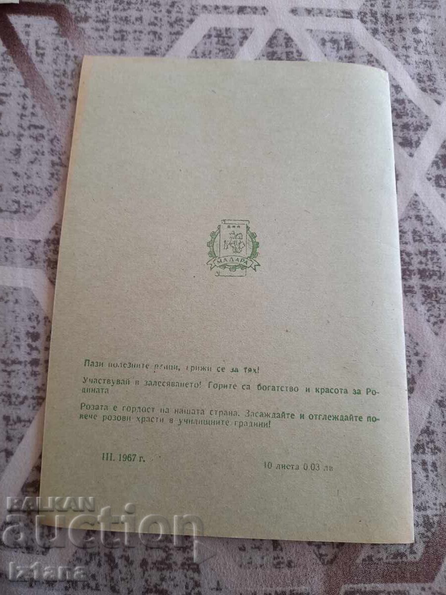 Δημοπρασία Παλιό σχολικό τετράδιο