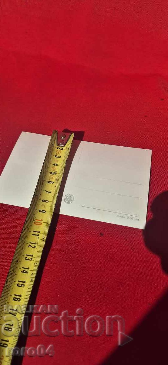 ΙΖΟΛΝΤΑ ΙΖΒΙΤΣΚΑΓΙΑ - 5