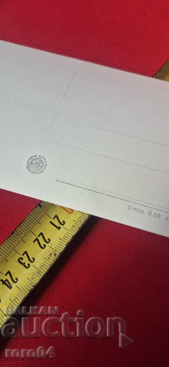 IZOLDA IZVIȚKAIA - 6