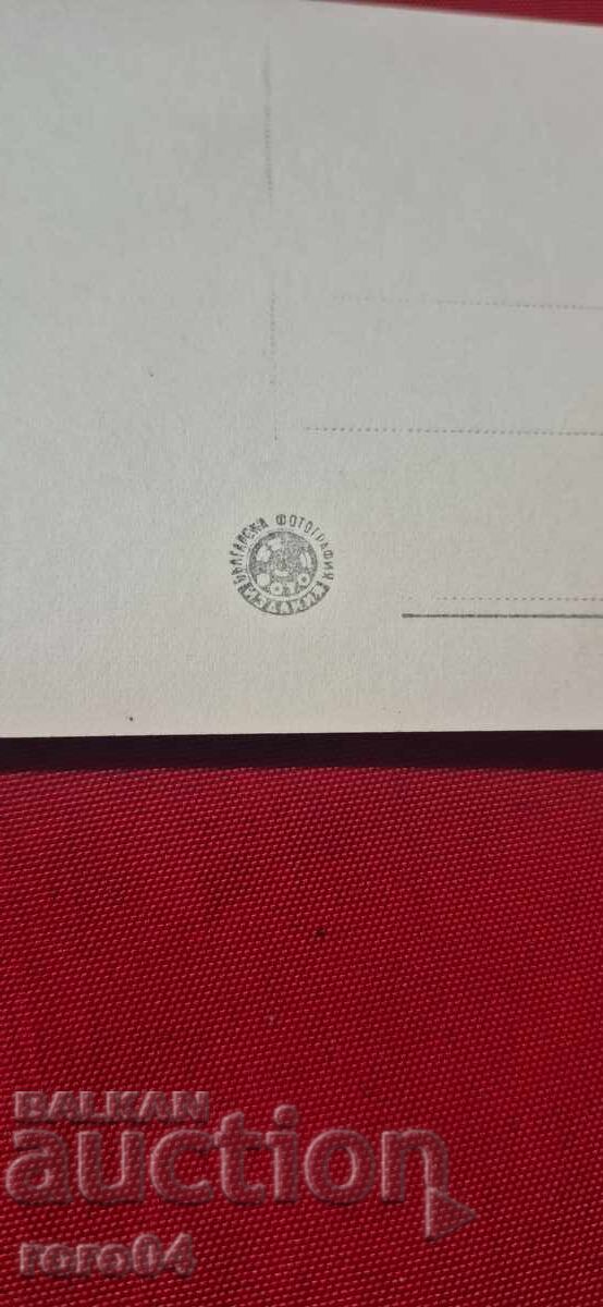 ΙΖΟΛΝΤΑ ΙΖΒΙΤΣΚΑΓΙΑ - 7