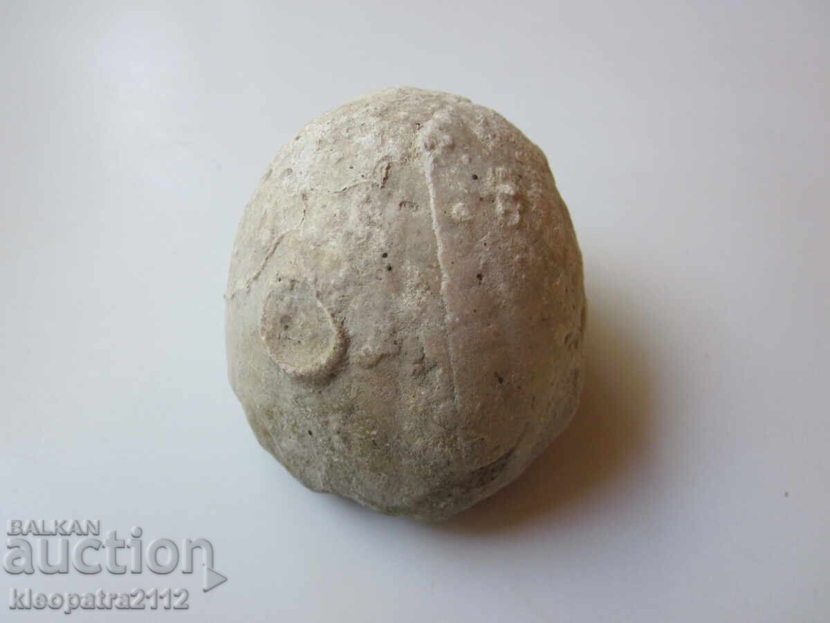 Delivery of FOSSIL SEA URCHIN - VERY RARE AND BEAUTIFUL. 2