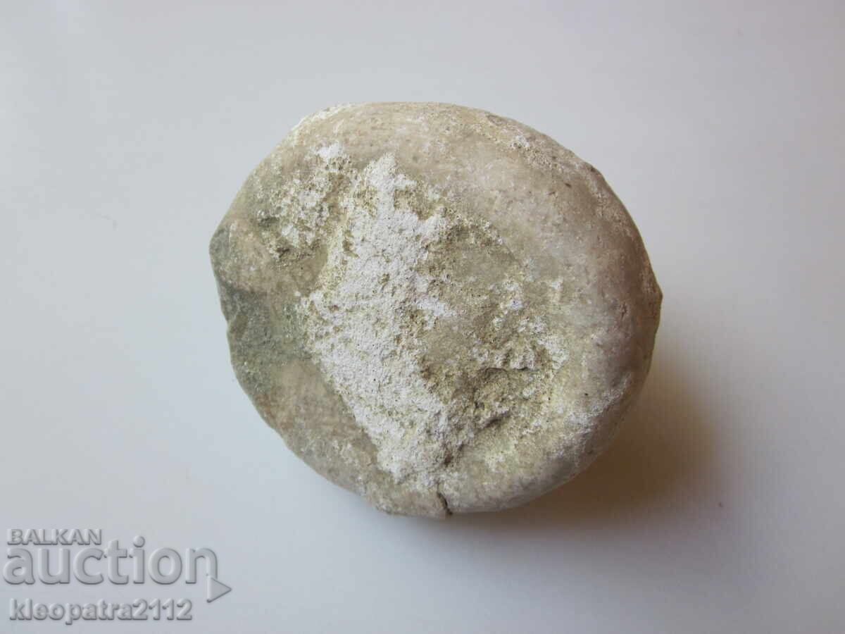 FOSSIL SEA URCHIN - VERY RARE AND BEAUTIFUL. 2 - 6