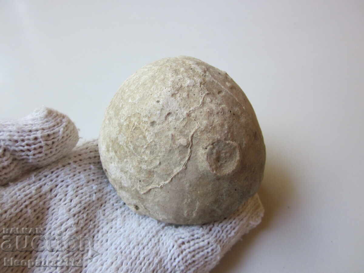 FOSSIL SEA URCHIN - VERY RARE AND BEAUTIFUL. 2
