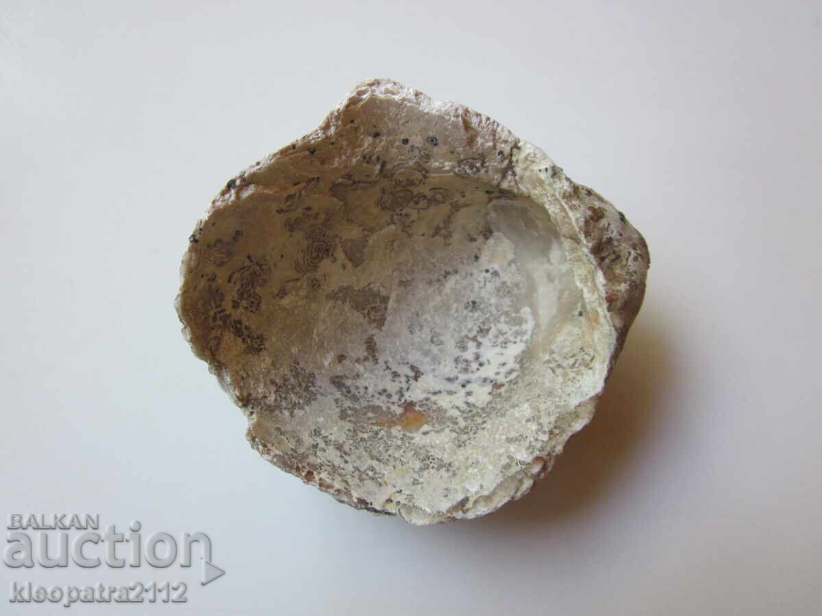 FOSSIL - FOARTE RARA SI FRUMOASA. - 5