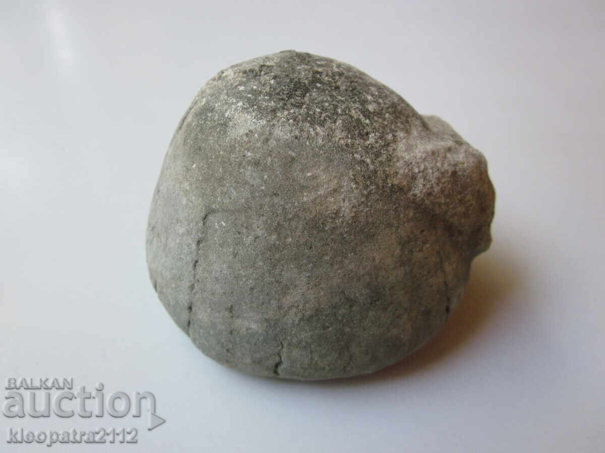 Auction  FOSSIL SEA URCHIN - VERY RARE AND BEAUTIFUL. 3