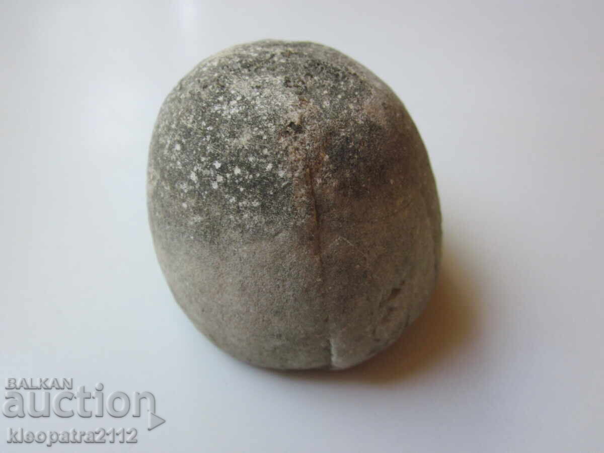Delivery of FOSSIL SEA URCHIN - VERY RARE AND BEAUTIFUL. 3