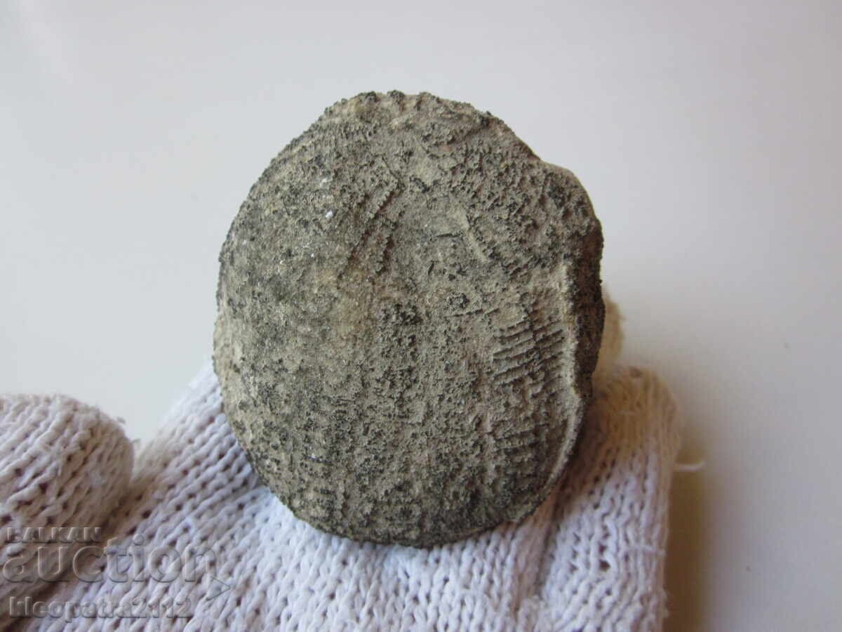 FOSSIL SEA URCHIN - VERY RARE AND BEAUTIFUL. 4