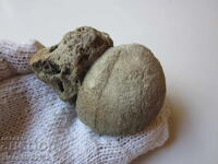 FOSIL DE ARICI DE MARE - FOARTE RAR ȘI FRUMOS.5