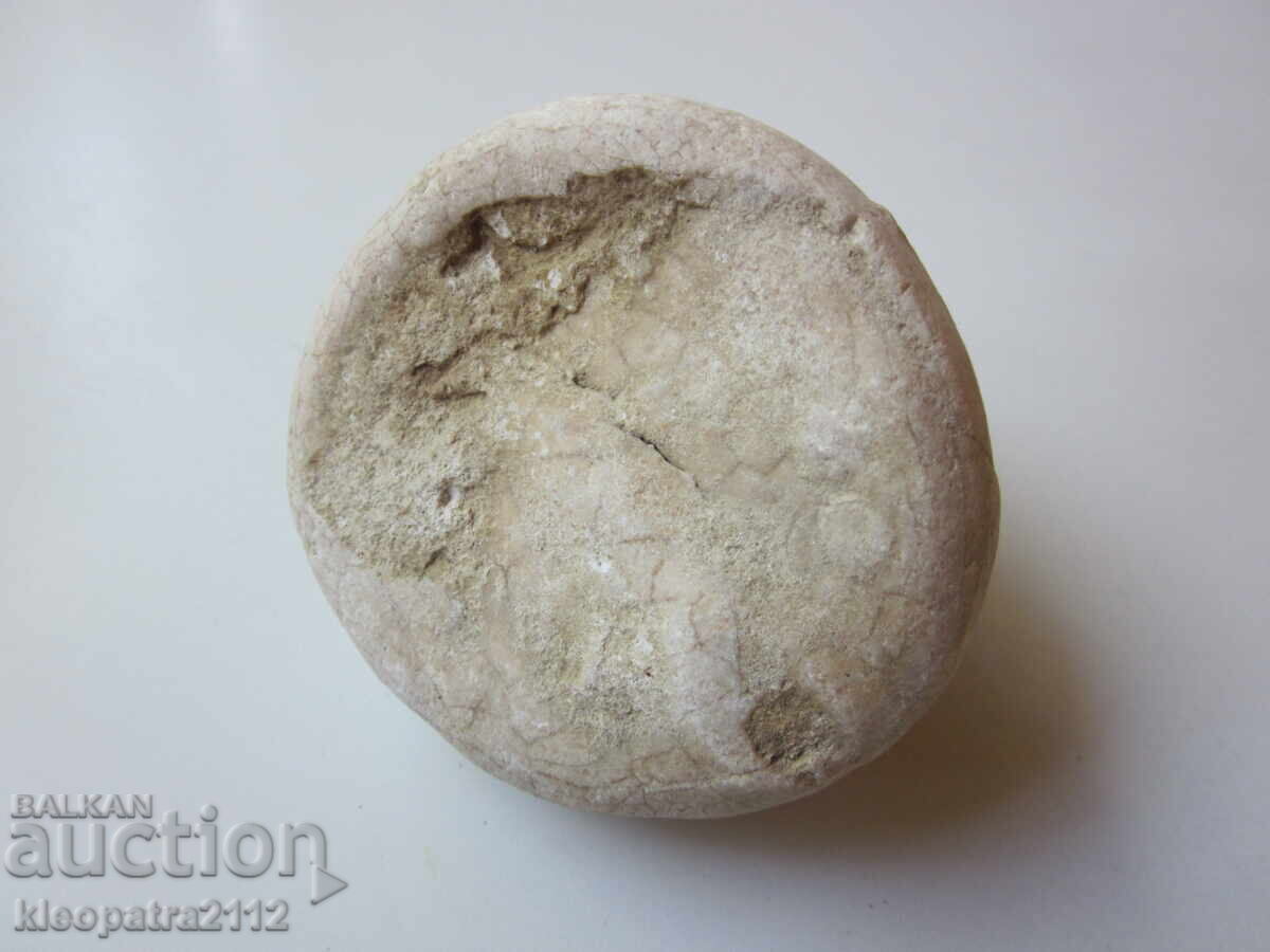 ΑΠΟΛΙΘΩΜΑ ΘΑΛΑΣΣΙΟΥ ΑΧΙΝΟΥ - ΠΟΛΥ ΣΠΑΝΙΟ ΚΑΙ ΟΜΟΡΦΟ.6 - 5