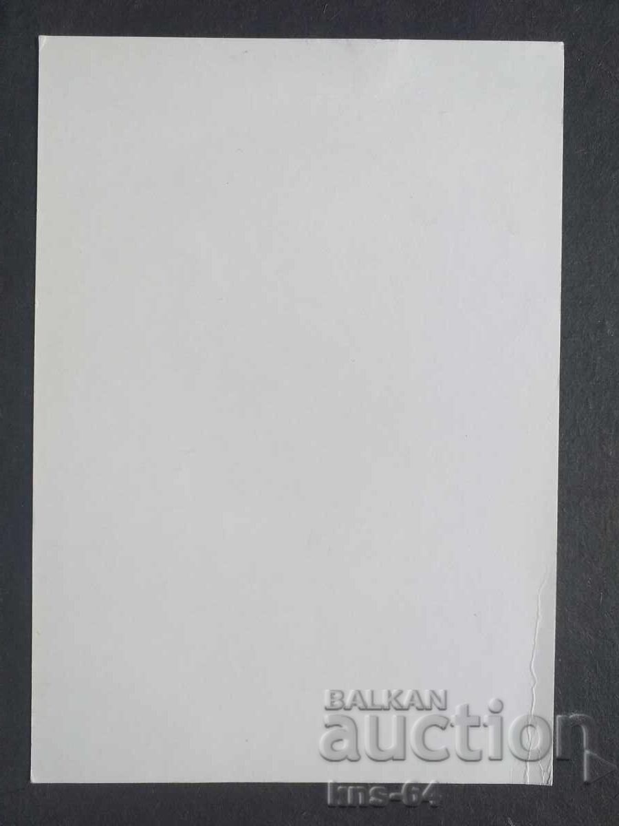 Vasil Levski with price 0.80 BGN | € 0.41 Vasil Levski with price 0.80 BGN | € 0.41