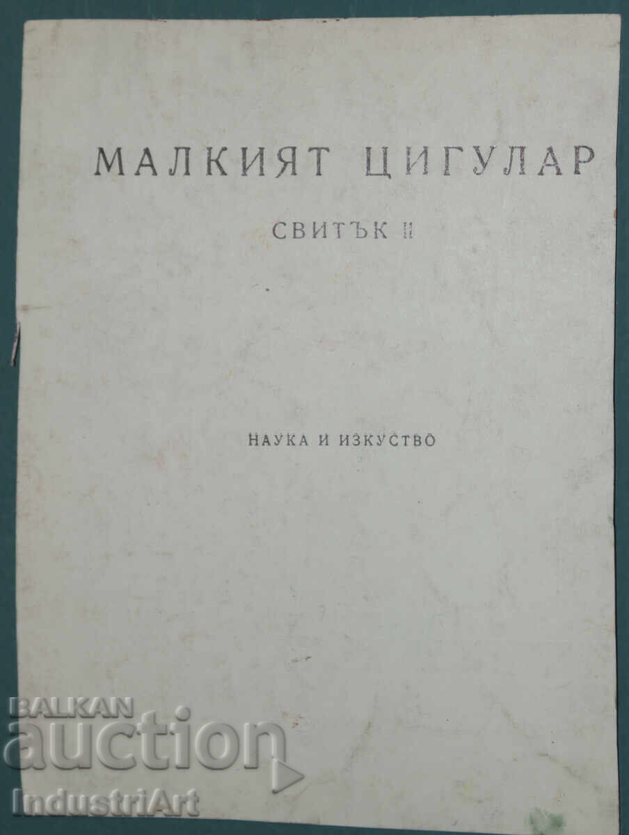 Έργο μικτής τεχνικής, γυναικείο πορτρέτο - 6