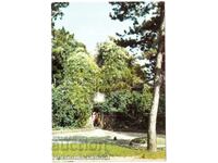 ΠΑΛΙΑ ΚΑΡΤΑ ΠΛΕΒΕΝ ΣΚΟΜΠΕΛΕΦ ΠΑΡΚΟ ΑΔΕΡΦΙΚΟΣ ΤΑΦΟΣ Ε511