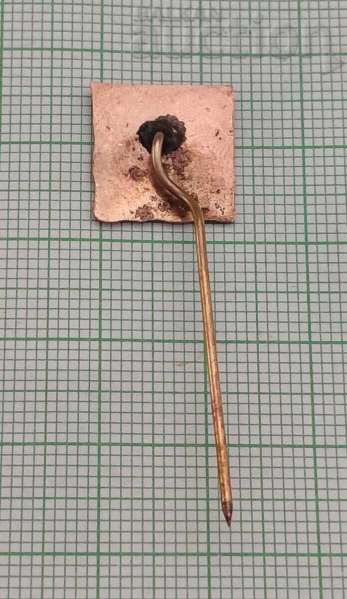 АПРИЛСКО ВЪСТАНИЕ ЗНАМЕ ЗНАЧКА 1968г. с цена 2.00 лв. | € 1.02