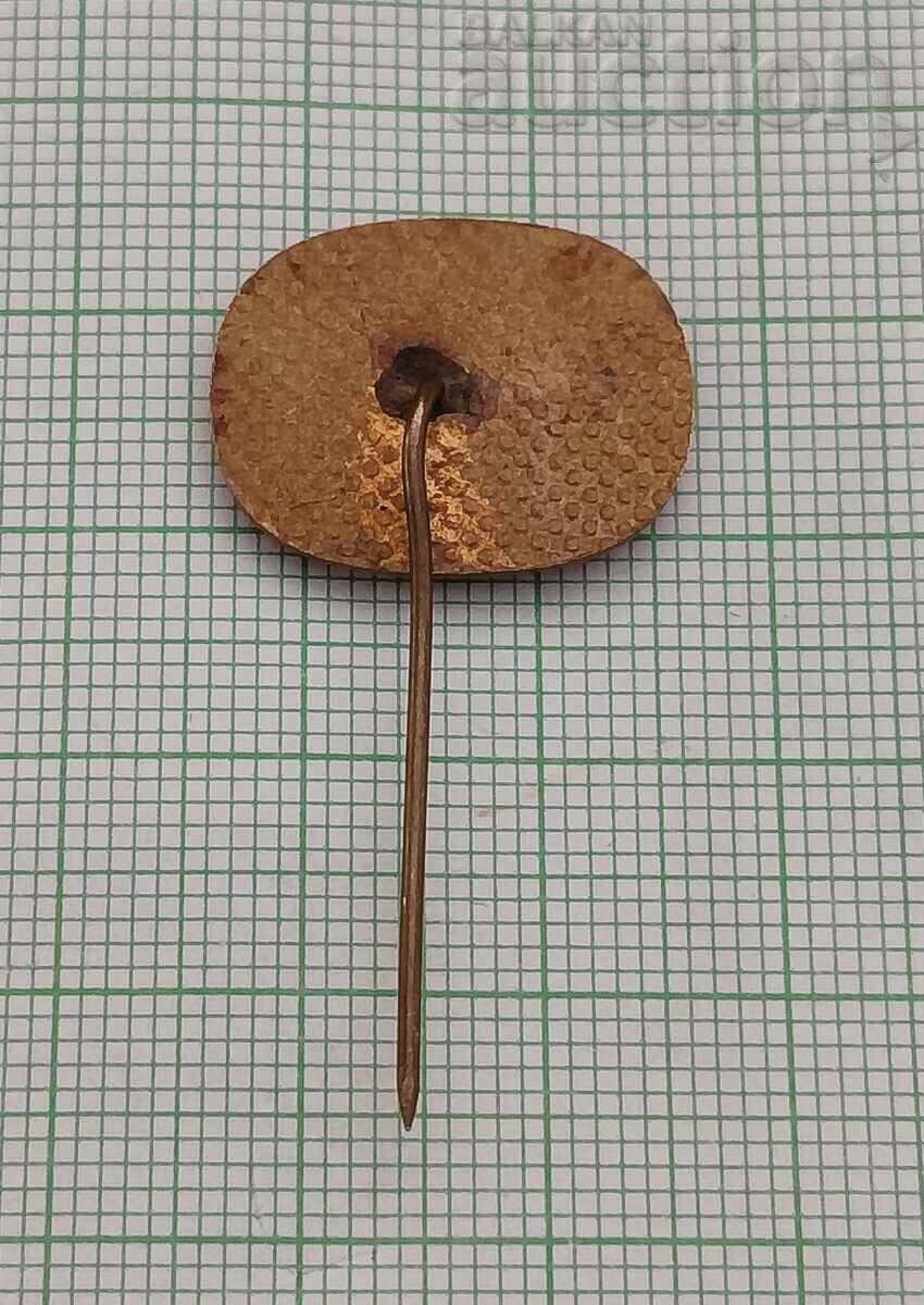 ΝΙΚΟΛΑ ΒΑΠΤΣΑΡΩΦ ΣΗΜΑ ΜΠΡΟΝΖ με τιμή 2.00 BGN | € 1.02