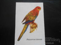 Calendar vechi bulgăresc, 1989