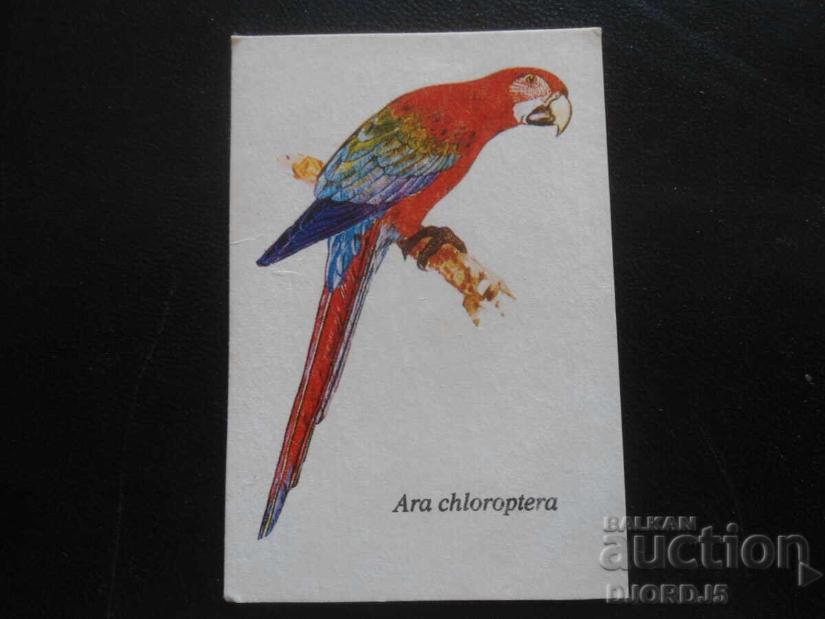 Old Bulgarian Calendar, 1989