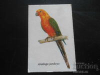 Calendar vechi bulgăresc, 1989