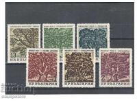 Вековни дървета 1964 г