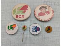 BSP BSDP BADGE LOT 6 PIECES