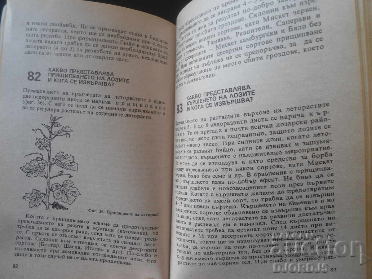 150 sfaturi pentru viticultor, Mitko Nikov - 6