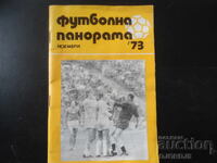 Panoramă fotbalistică, Noiembrie/73