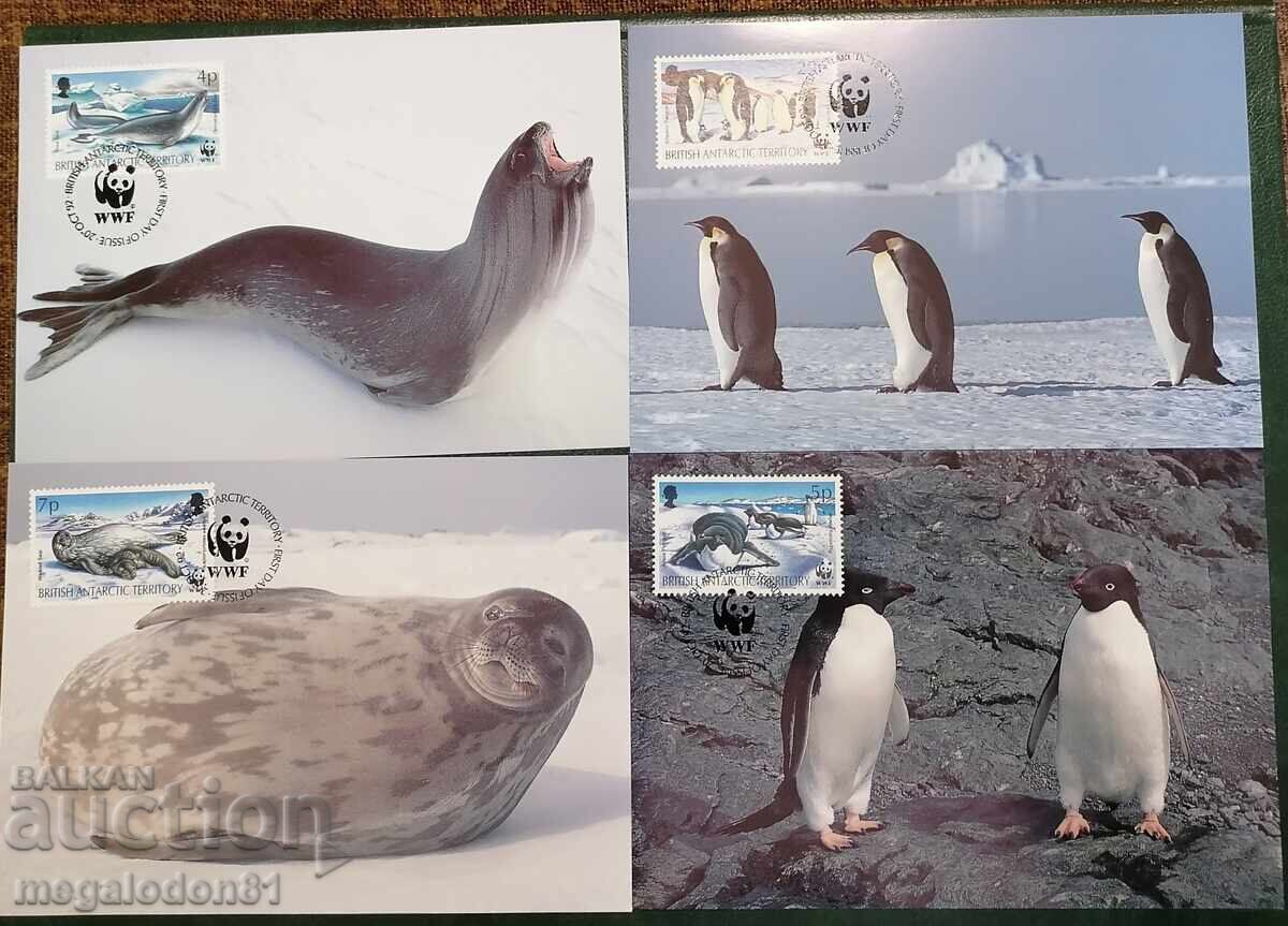 British Antarctica - Fauna, Maps Maximum